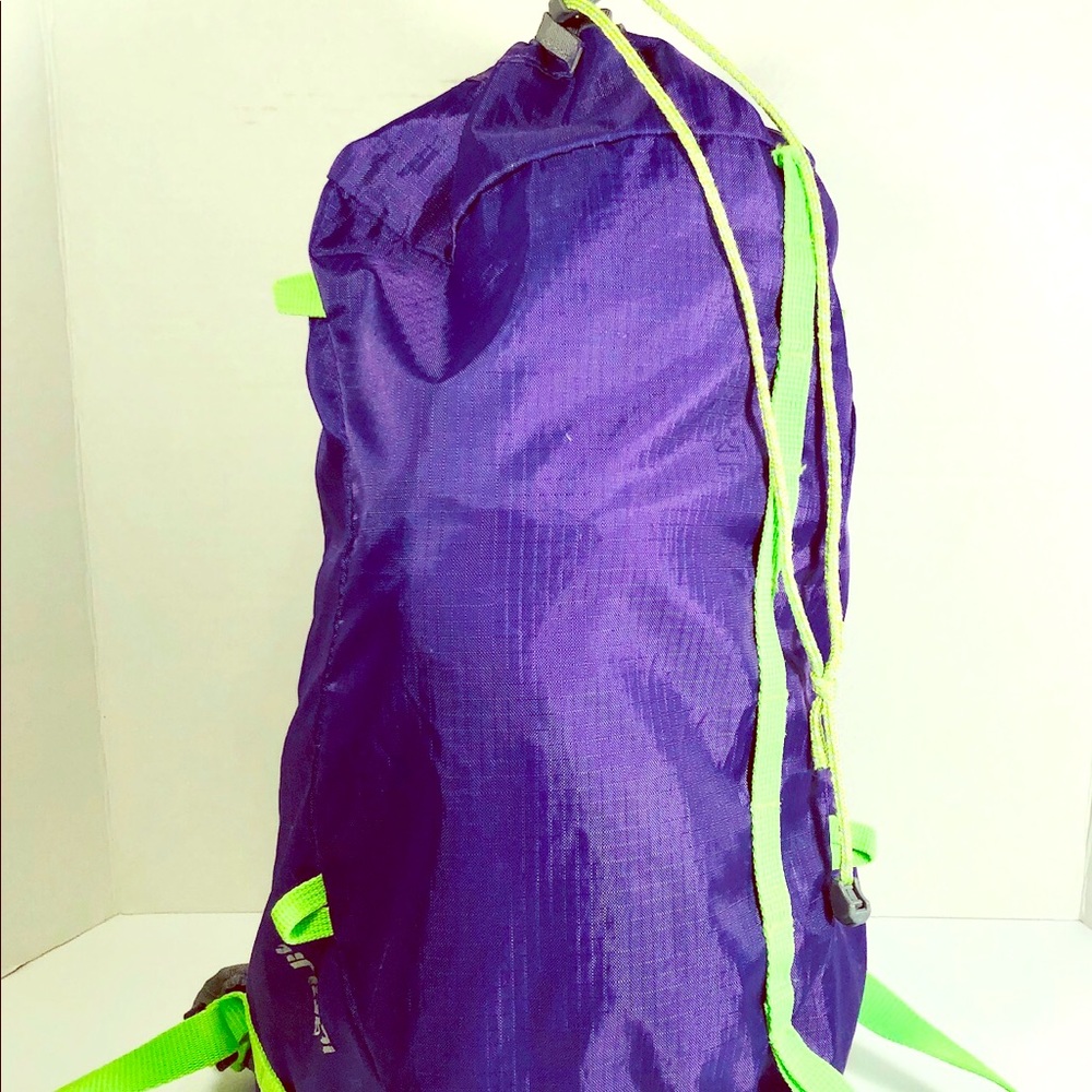 Jansport Backpack purple and neon green
